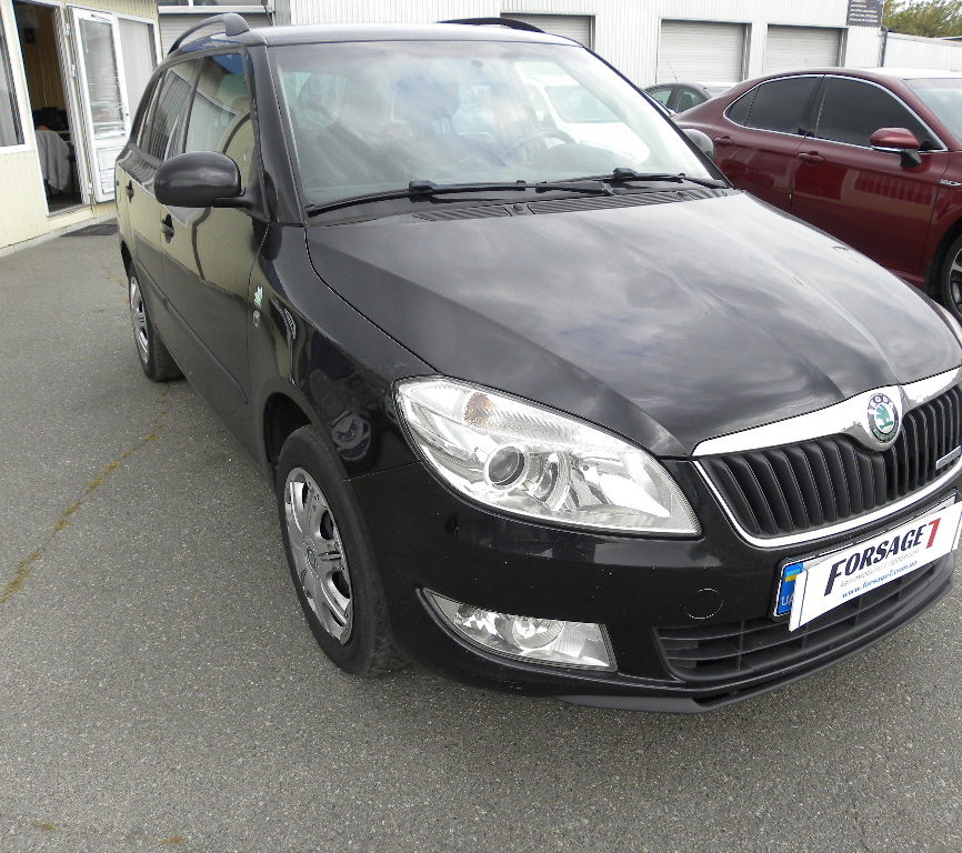 Skoda Fabia 2011