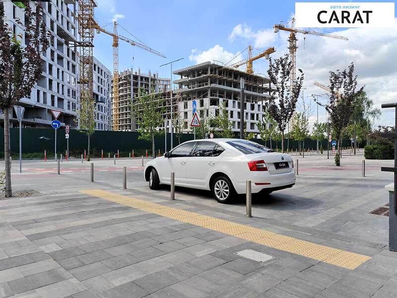 Skoda Octavia 2013 Skoda Octavia 2013