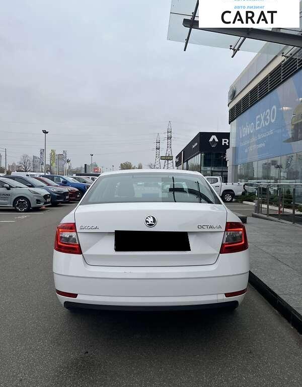 Skoda Octavia 2019