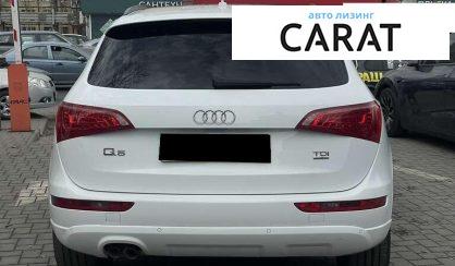 Audi Q5 2010 Audi Q5 2010