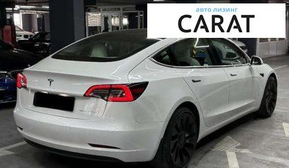 Tesla Model 3 2019