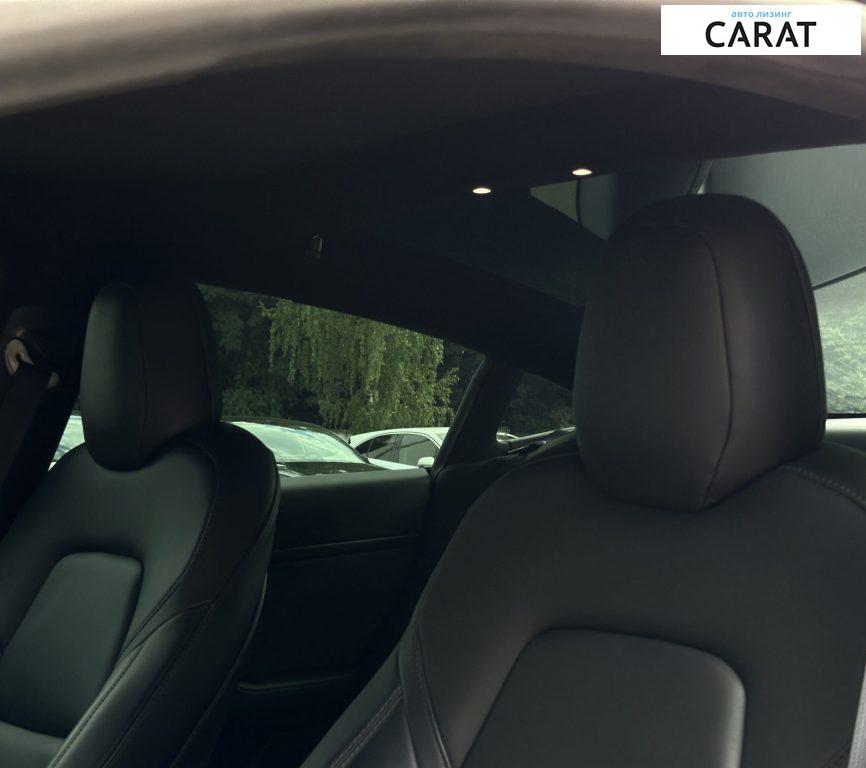 Tesla Model 3 2019