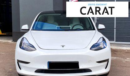 Tesla Model 3 2019