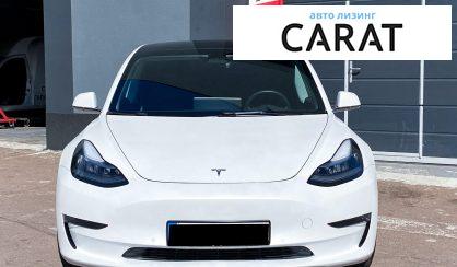 Tesla Model 3 2019