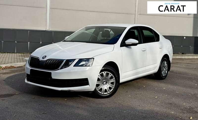 Skoda Octavia 2019 Skoda Octavia 2019