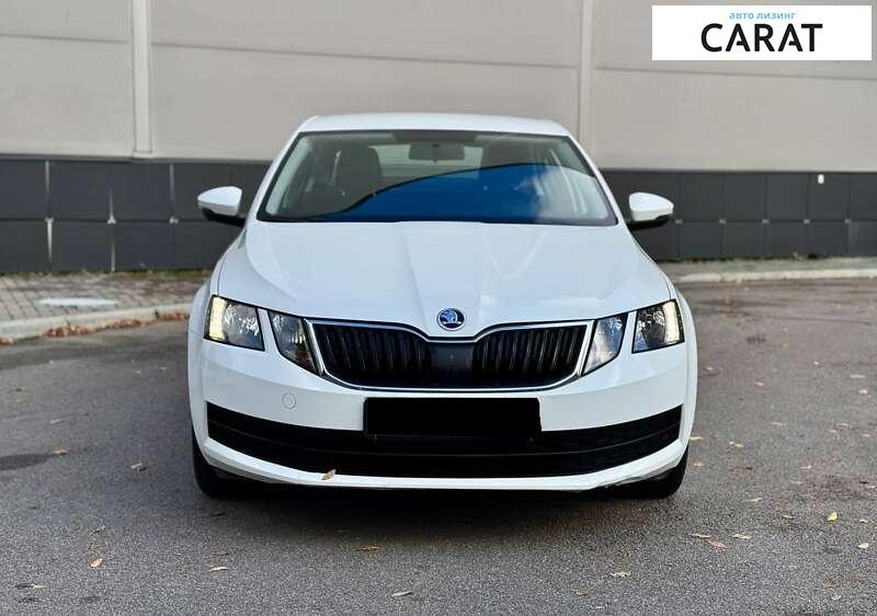 Skoda Octavia 2019 Skoda Octavia 2019