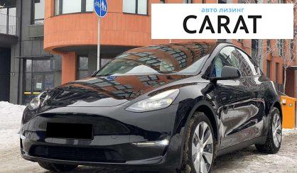 Tesla Model Y 2024 - авто лізинг Carat