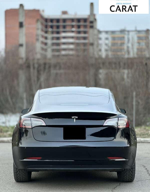 Tesla Model 3 2019
