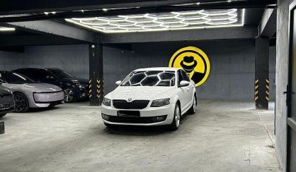 Skoda Octavia 2013